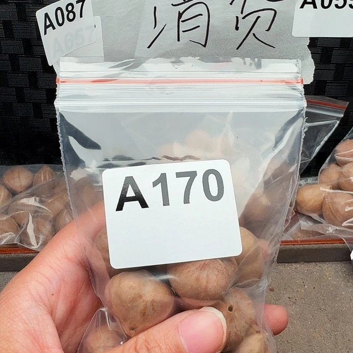 棒***橄榄核手串/手链橄榄