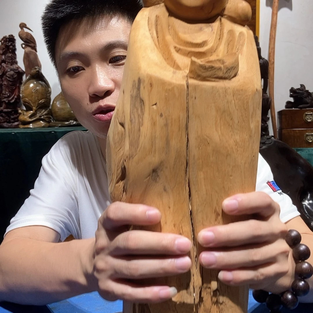 金丝楠触**丽金丝南木