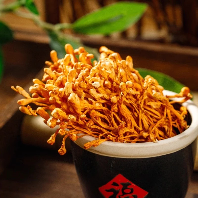 新鲜虫草花干货农家特产冬虫草菌菇煲汤孢子头食用菌