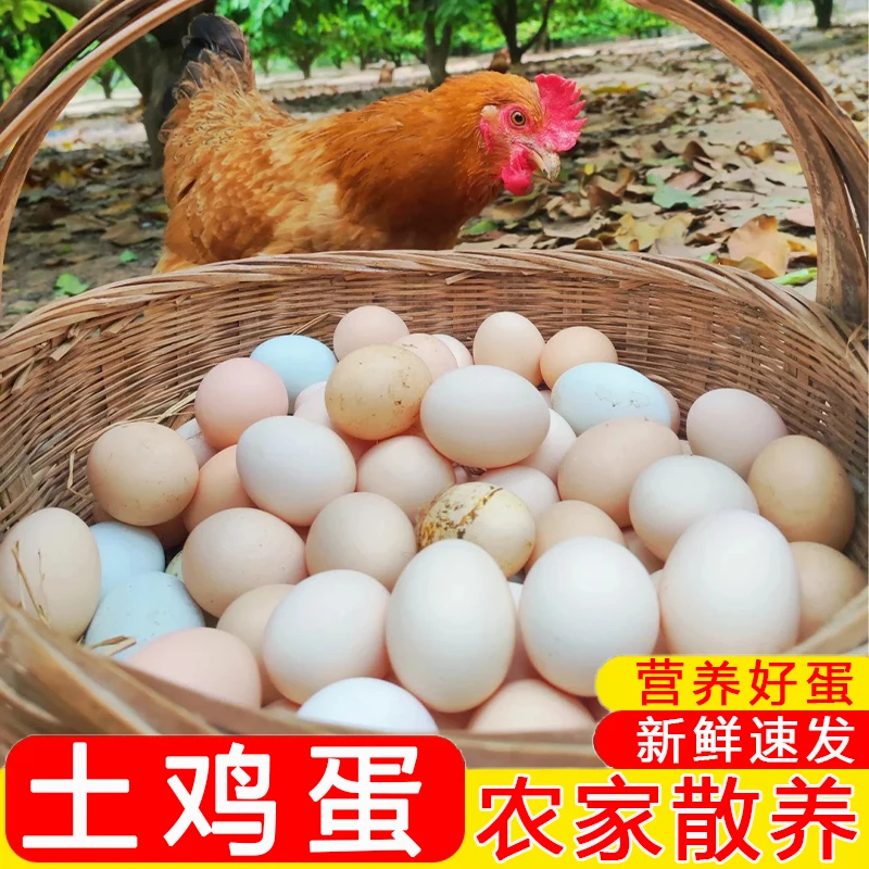 丹江口【土鸡蛋】正宗农家散养农场谷物农村天然柴草鸡蛋30枚笨鸡蛋