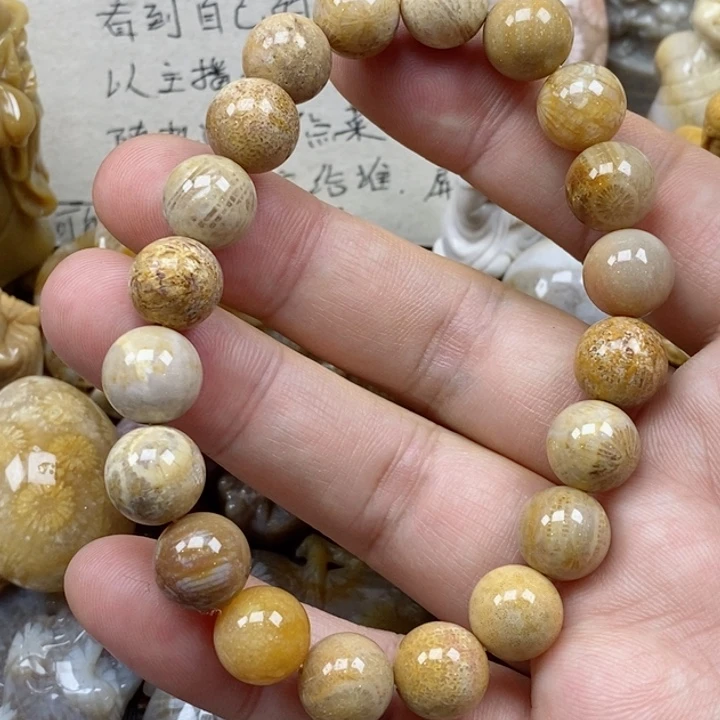 颈饰未镶嵌硅化珊瑚（珊瑚玉）