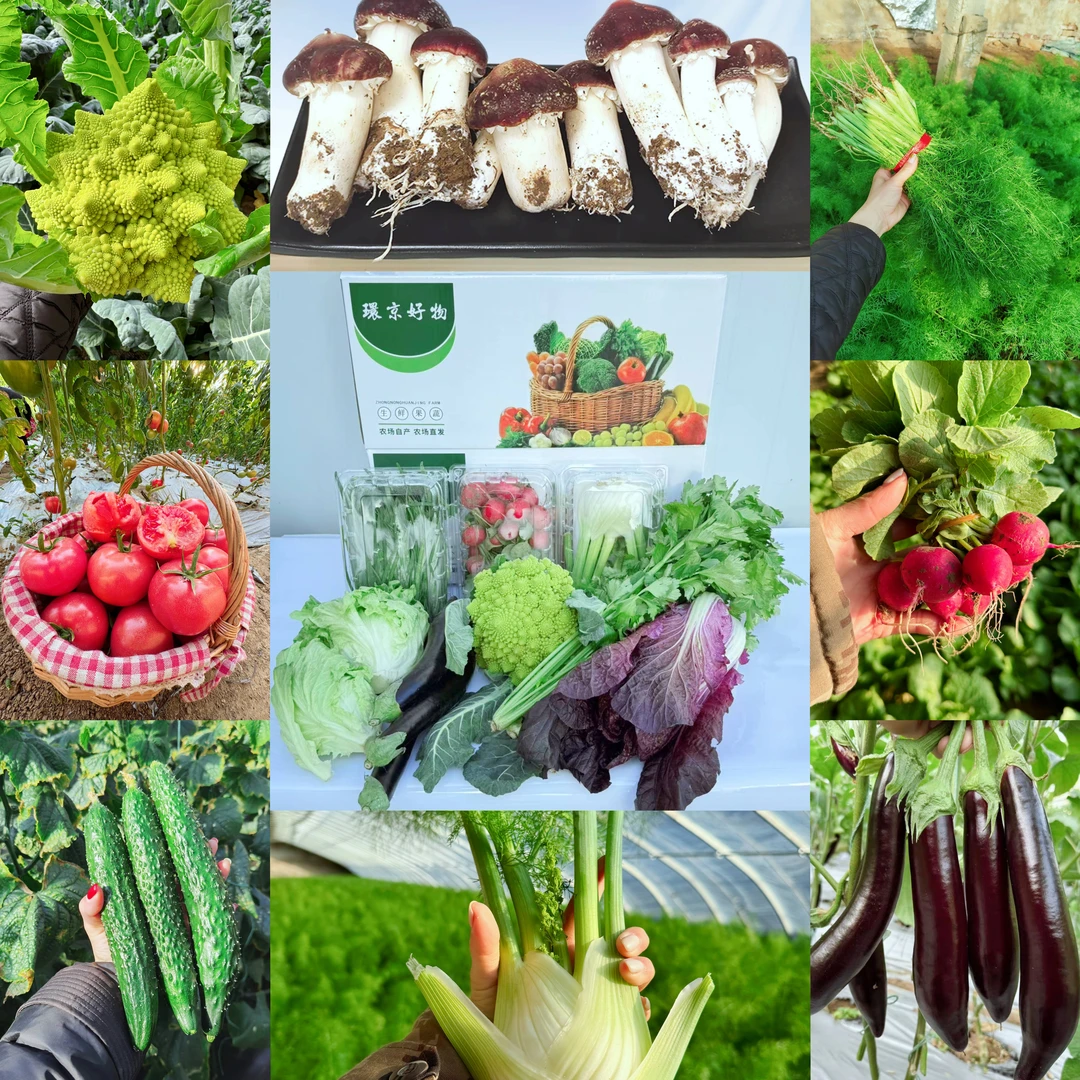 （下午发）绿养道春节蔬菜大礼包10斤装