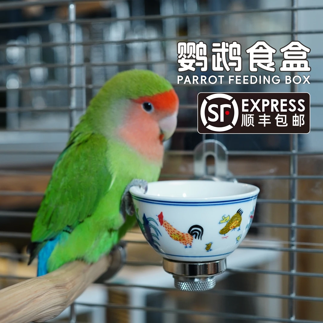 小型鹦鹉食盒防溅粮陶瓷食碗牡丹玄凤小太阳保温箱底网磁吸喂食器