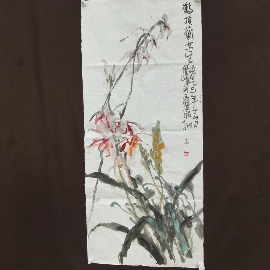 西双版纳鹤顶兰写生六尺四开