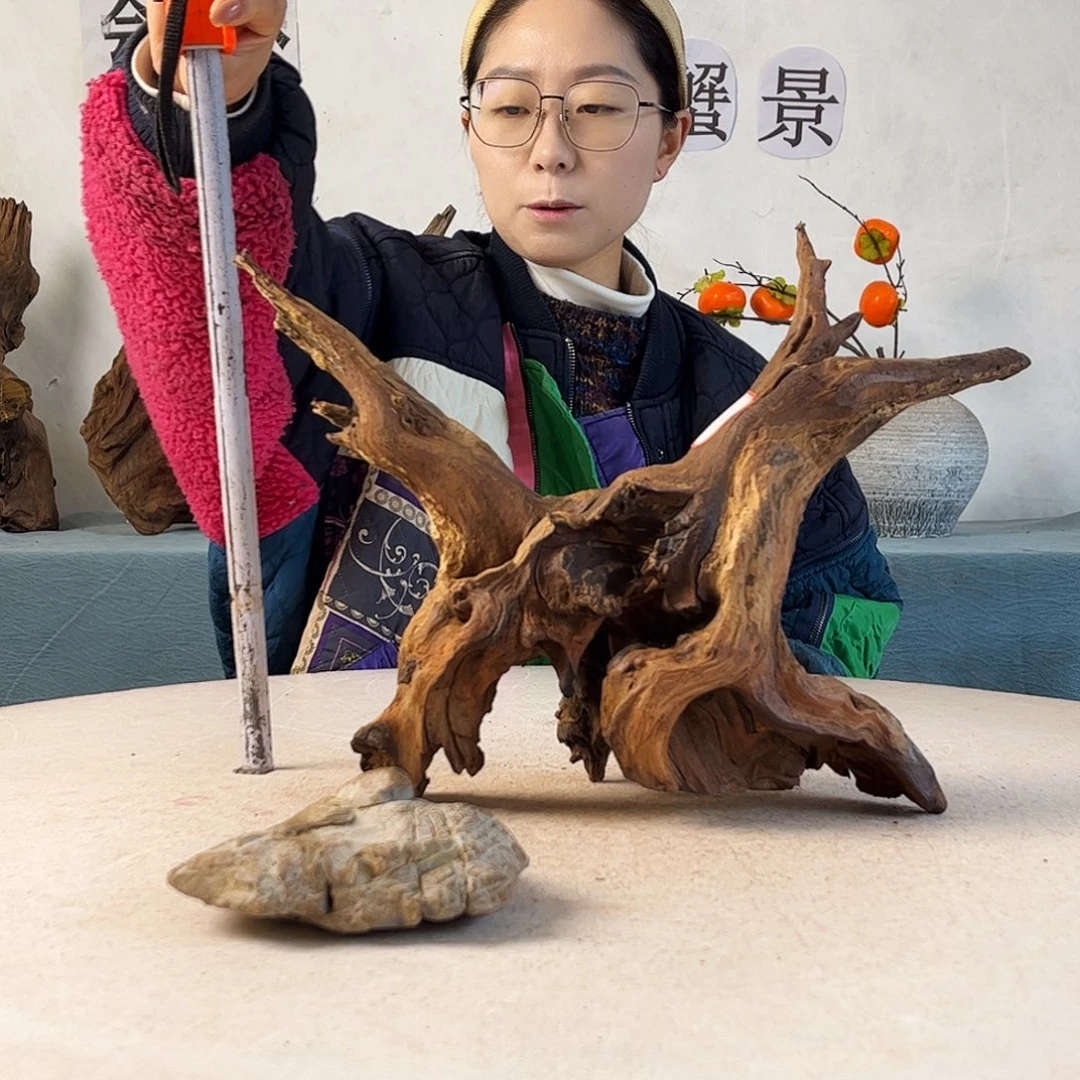 沉木造景寄居蟹造景