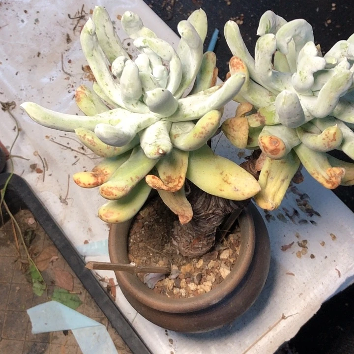 L**.89///////////////