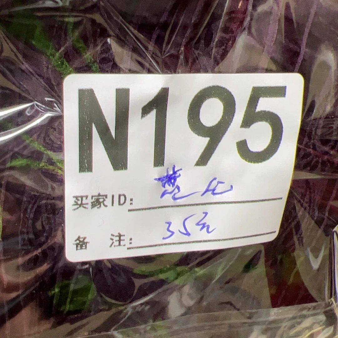 蕙***心195“chicungunbubini