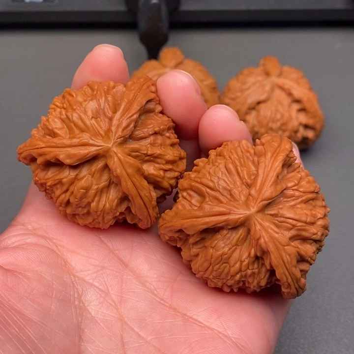 木质类核桃核桃核桃