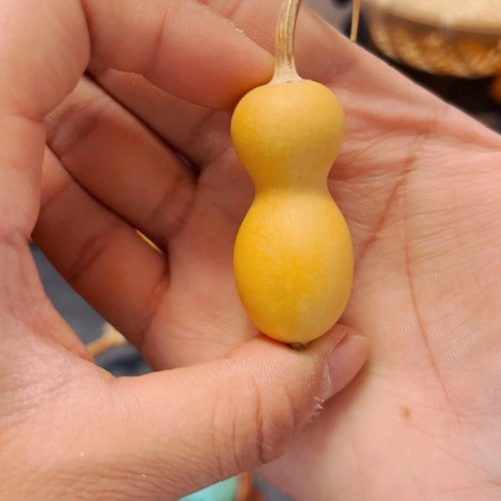 晖*8888888888888888888