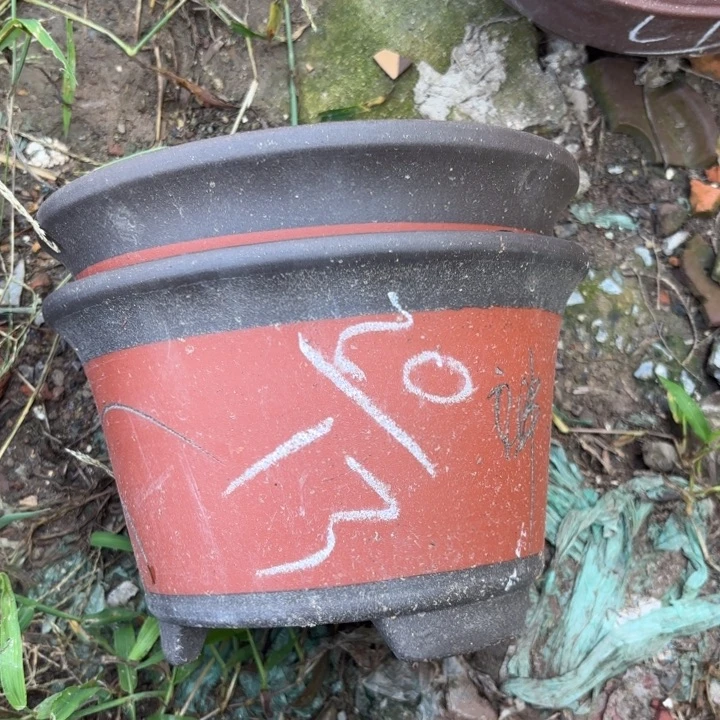 紫砂花盆紫砂的花