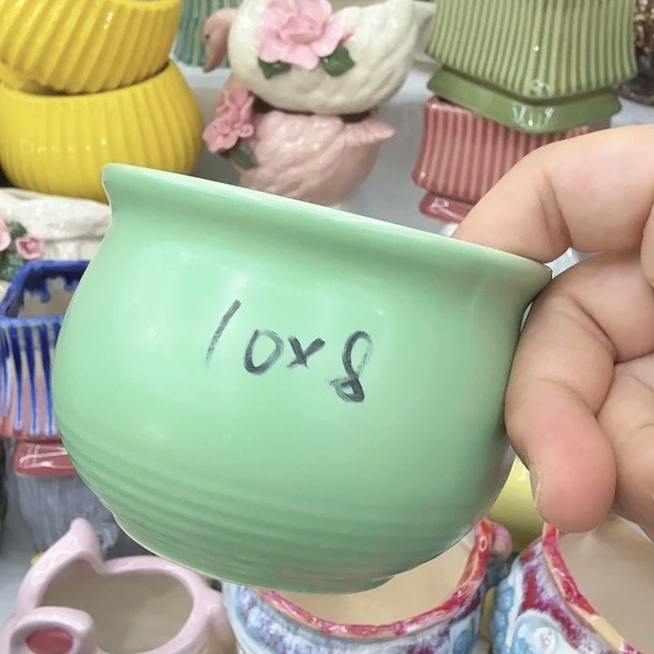 多肉植物陶瓷花盆