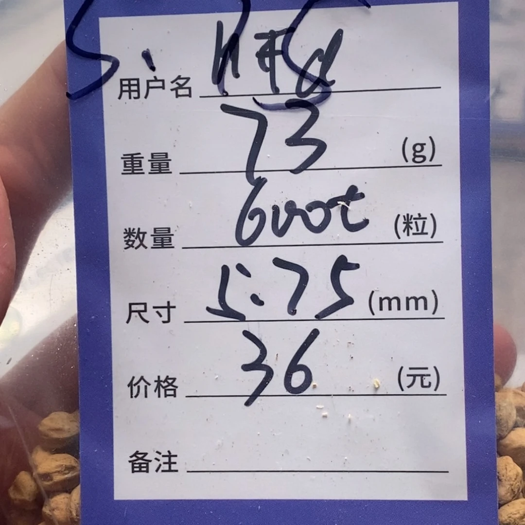 柏香籽/百香籽吊坠h*d