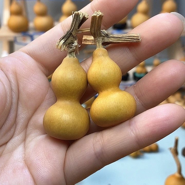 随*直播间手把小葫芦