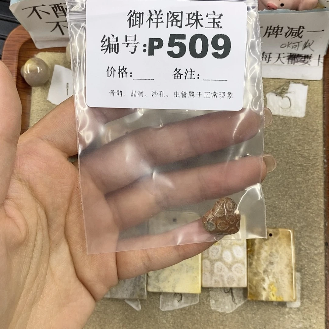 硅化珊瑚（珊瑚玉）未镶嵌颈饰谢*霞