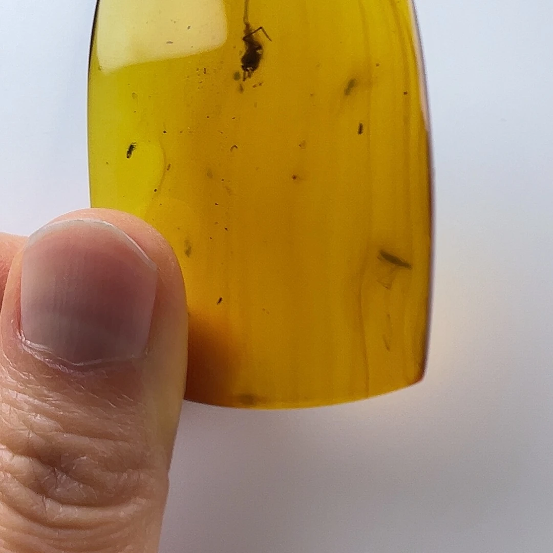 琥珀裸石未镶嵌?***?琥珀虫珀