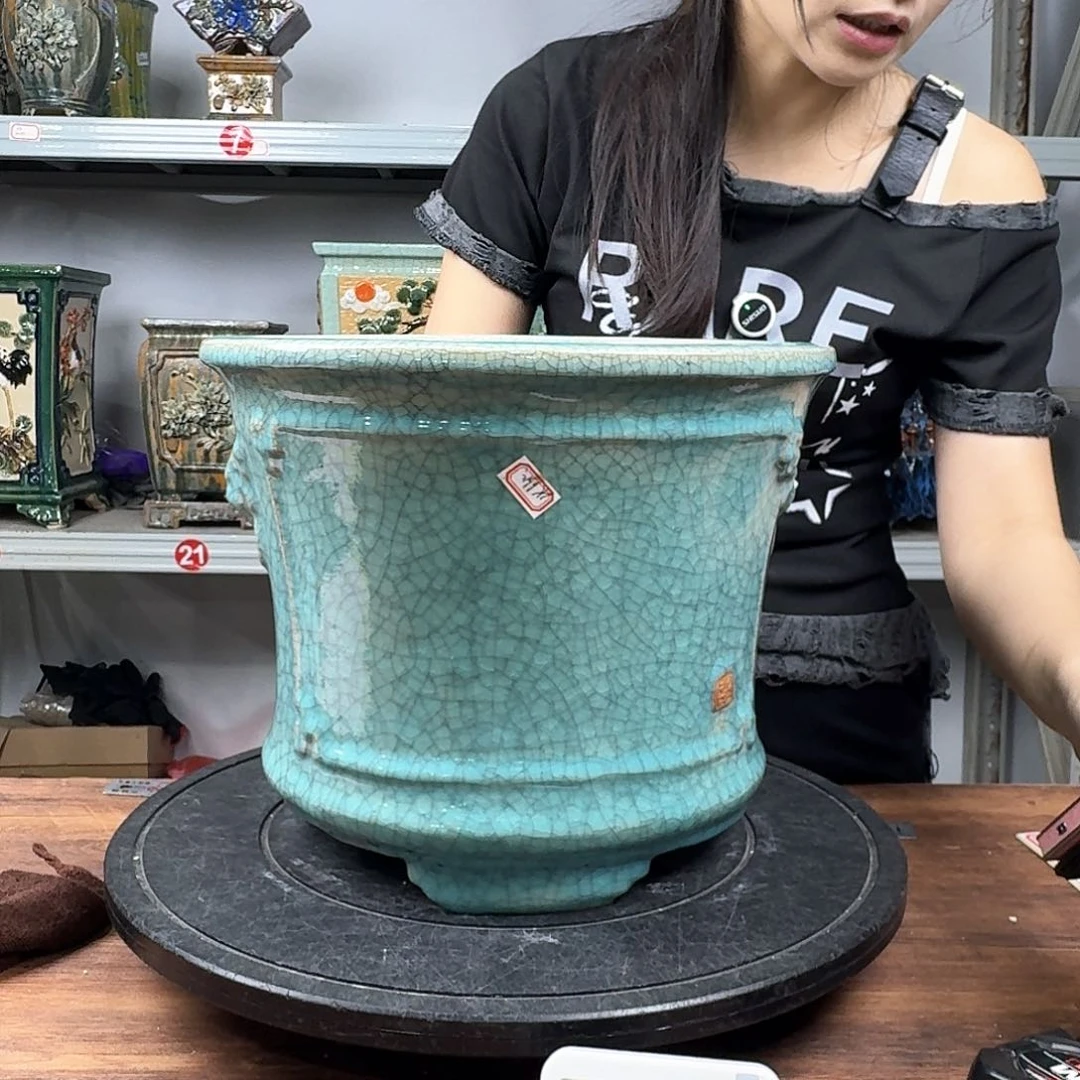 啊***雄无花朵石湾盆150花盆