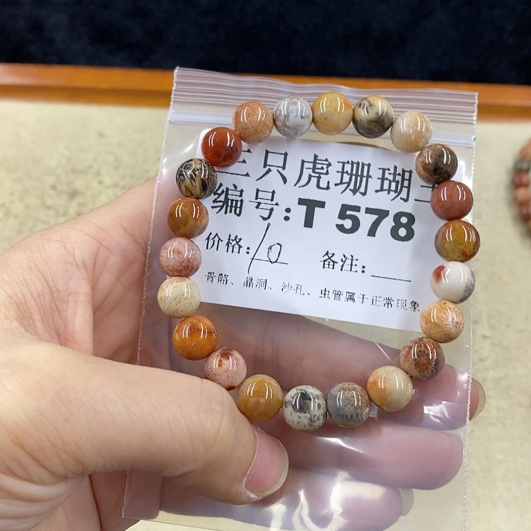 硅化珊瑚（珊瑚玉）1未镶嵌好****肉