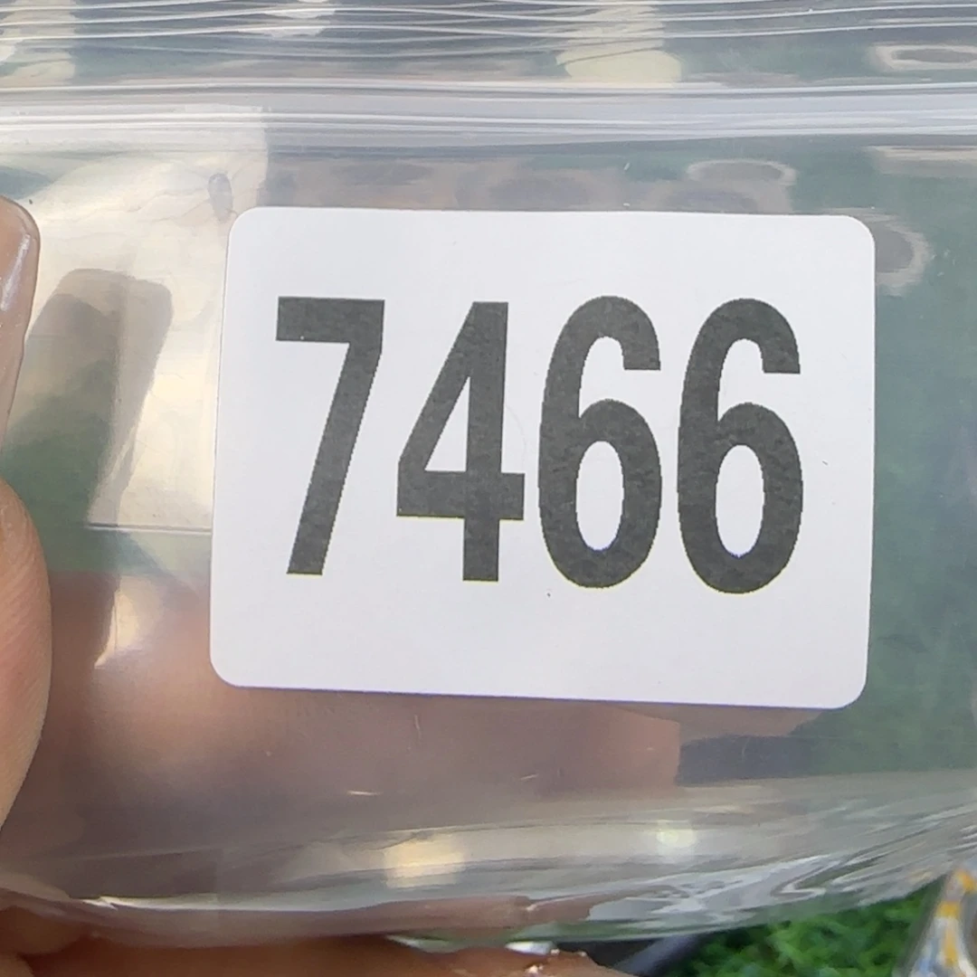 新号开播福利多多