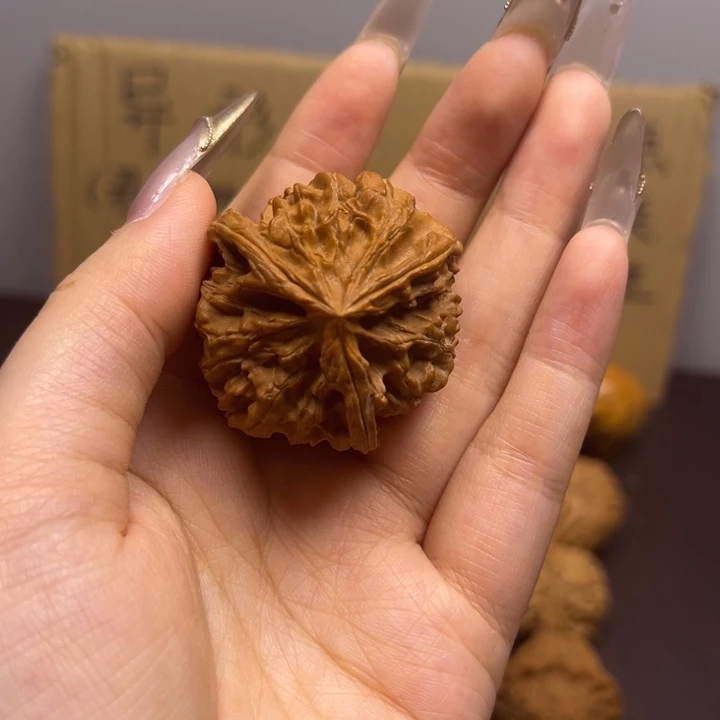 一***叁菩提籽类三棱单只异型有瑕