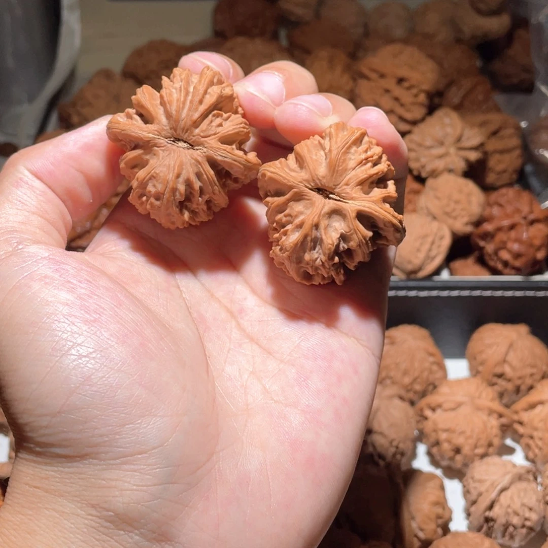 期*食40尺寸原声树野果狮子头