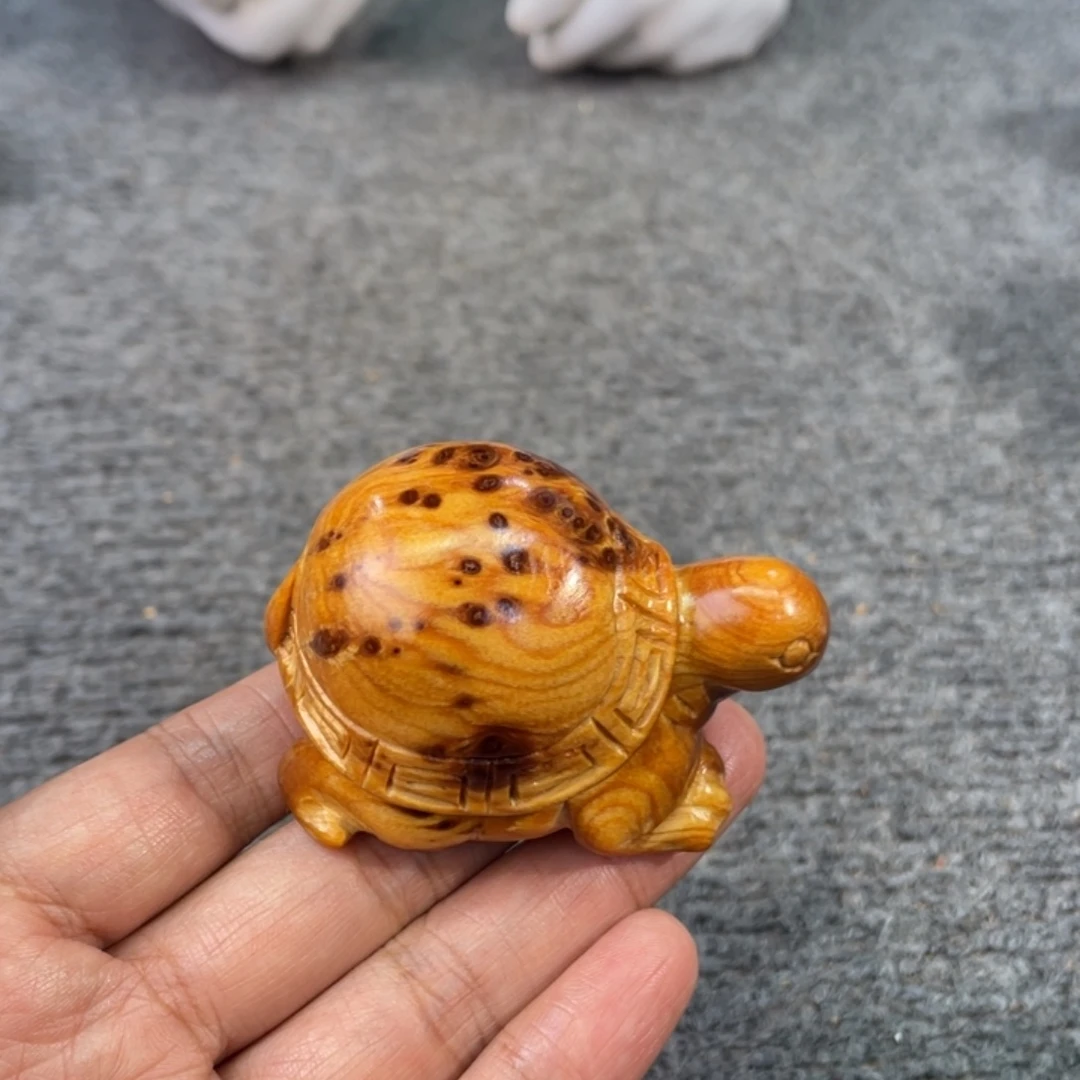 柏木（崖柏）太行崖柏888888888