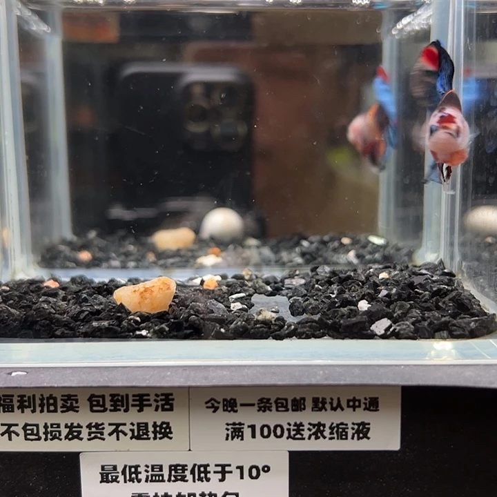 斗鱼竞拍跑单拉黑9日18