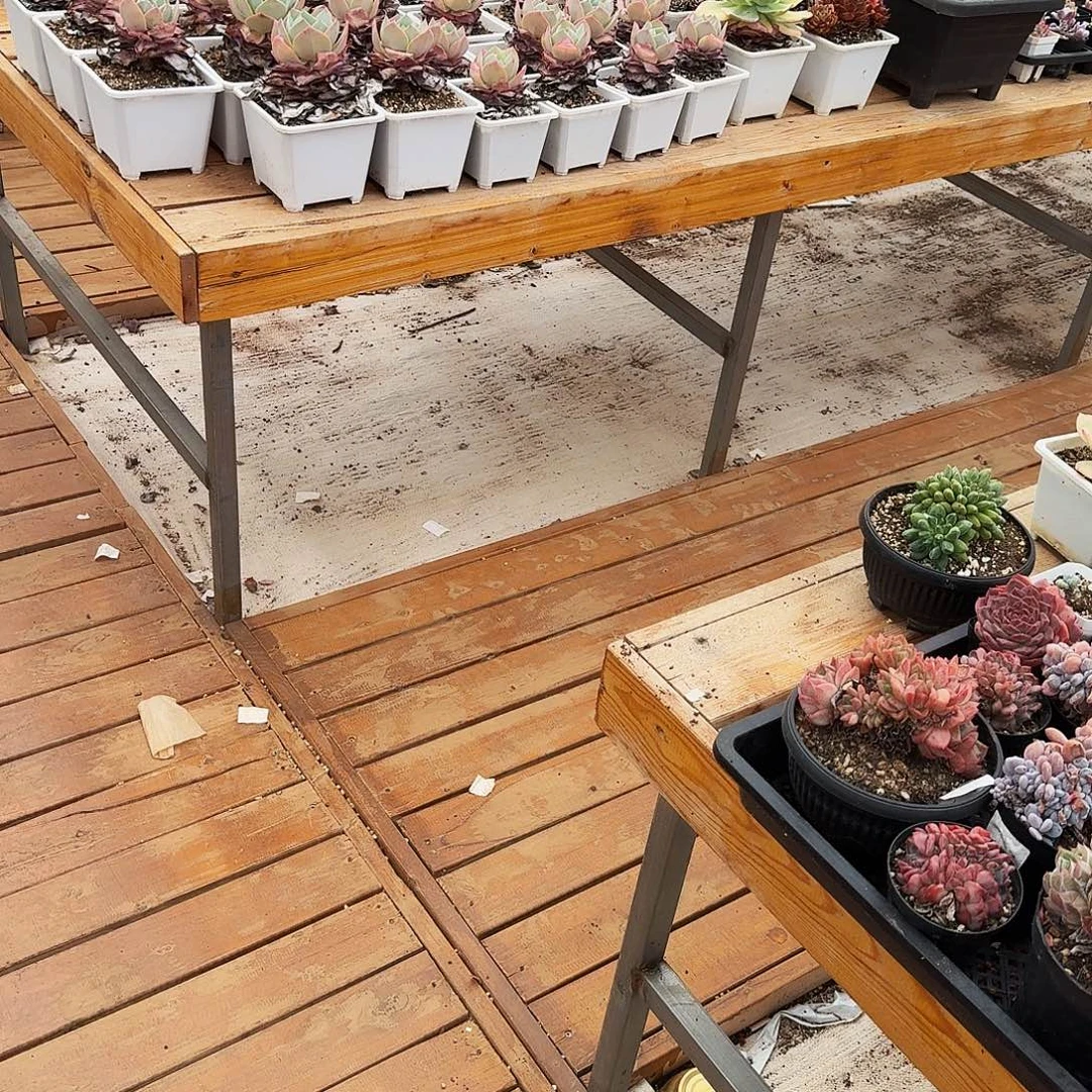唧***的0927-94组合4可已发3颗