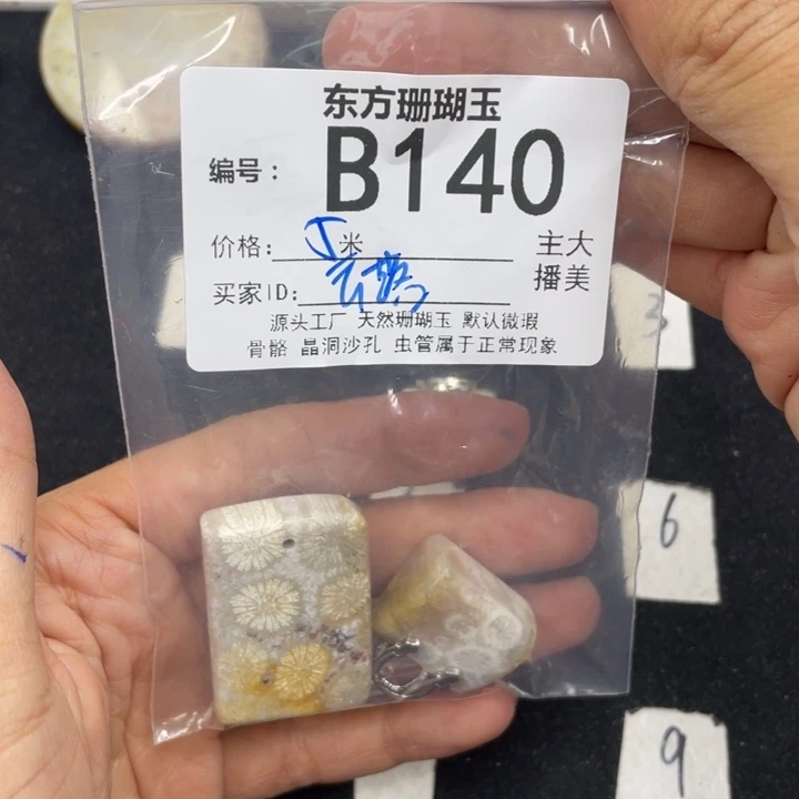 硅化珊瑚（珊瑚玉）颈饰合金云**尘