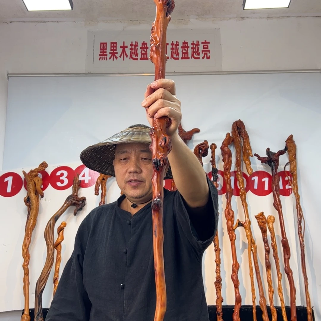 李***民黑果木其他黑果木531