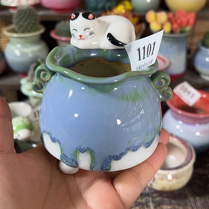 口5 未满30元运费到付