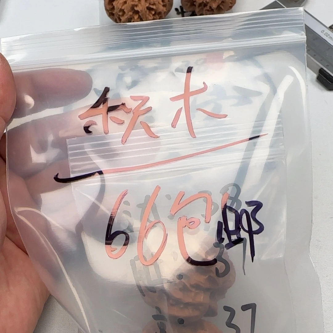 积***木2588545964459954599