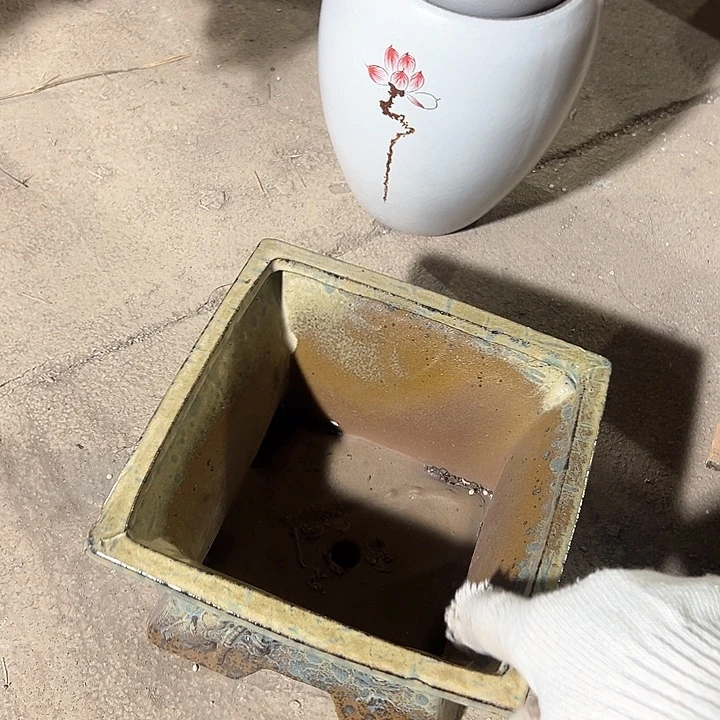 花盆花盆花盆花色跑得快
