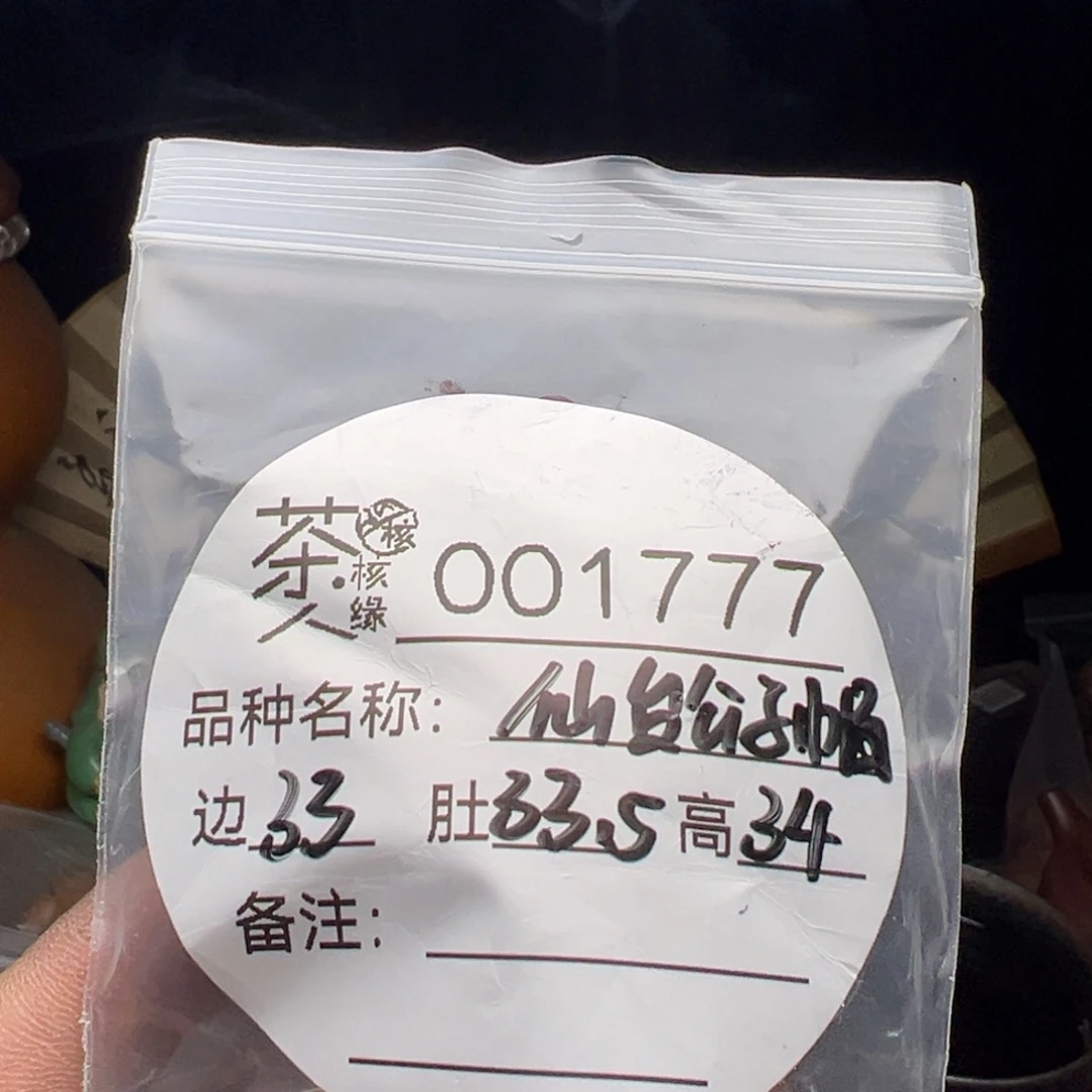 吊坠文玩核桃我们