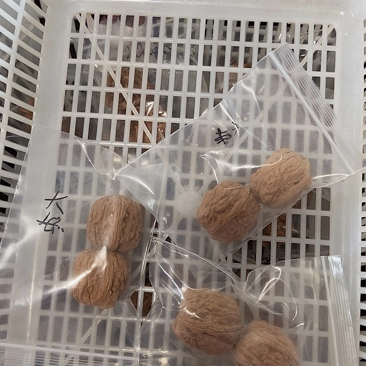 吊坠文玩核桃大枣瑕疵