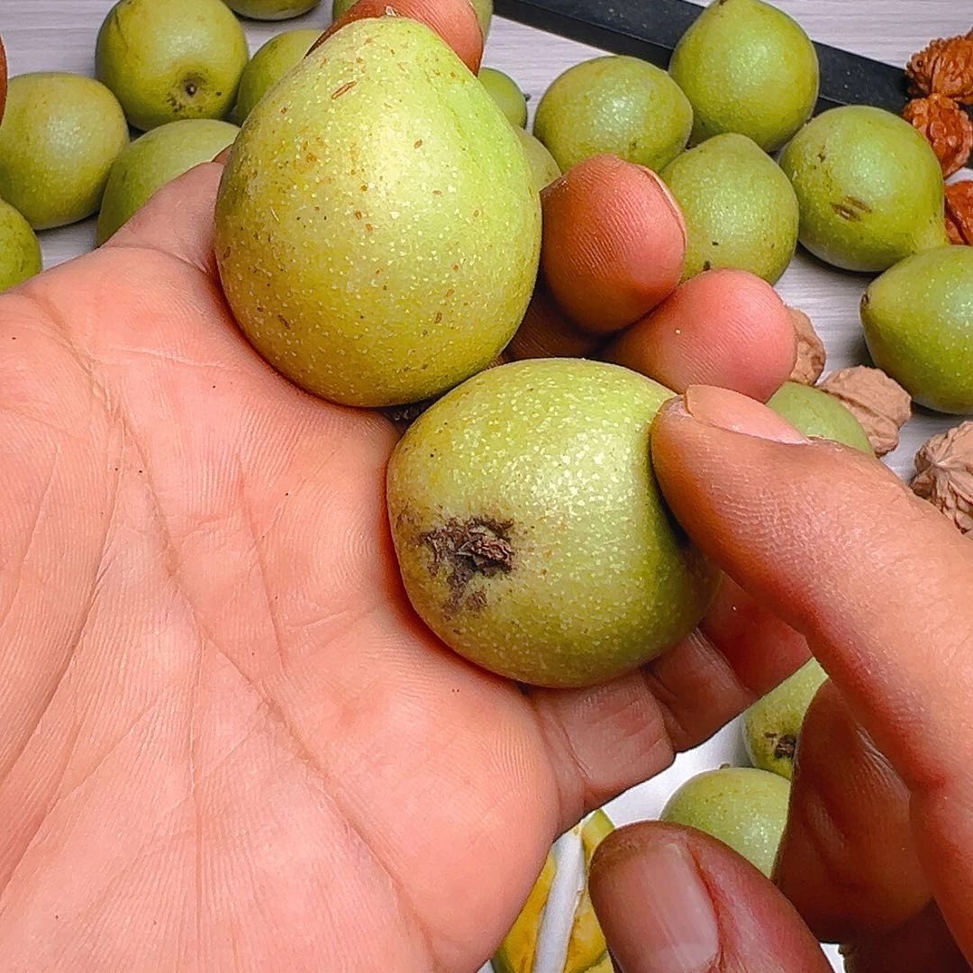 猴头核桃吊坠金蟾20手链