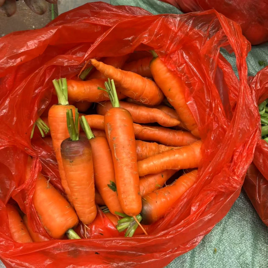 【箱装】农家新鲜土家红萝卜香甜可口