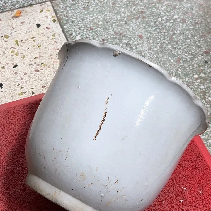 红陶东**文。。。。。。。。。。