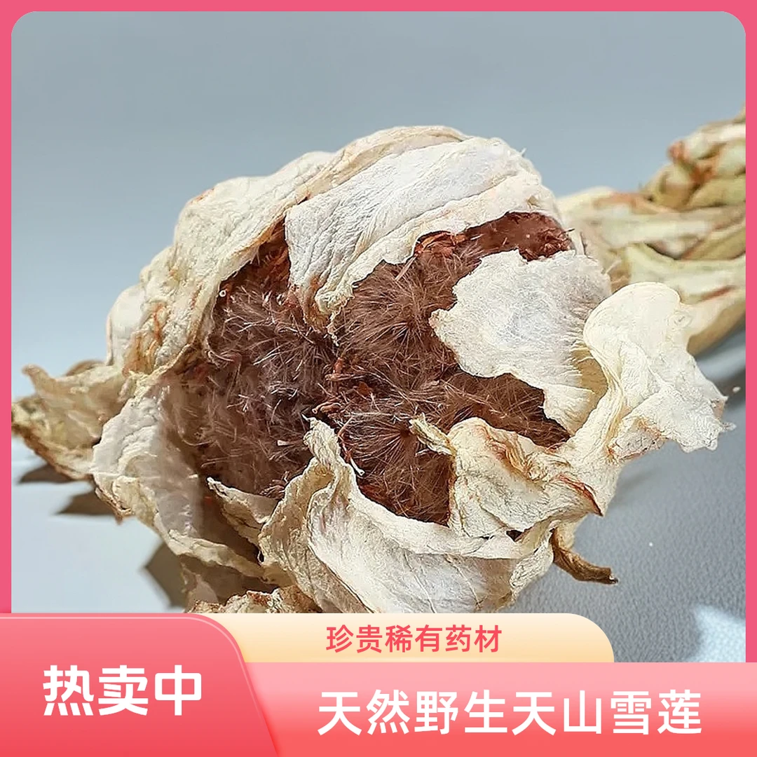 天山雪莲新疆雪莲干花15克左右一朵精选特大朵泡水泡酒珍贵稀少