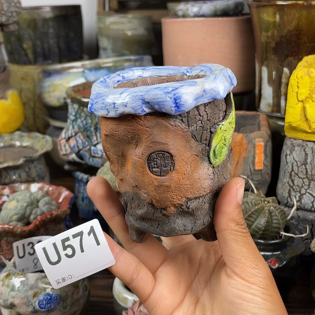 默认微次 元旦福利 坛子姐花盆