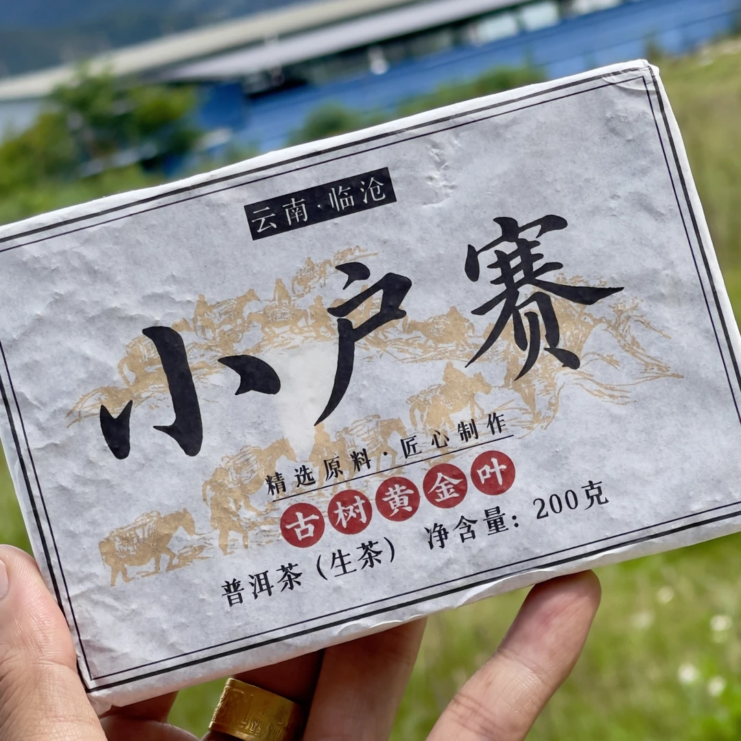 好喝得不像黄片：小户赛拉祜寨31号古树黄金叶2025春200g普洱生茶