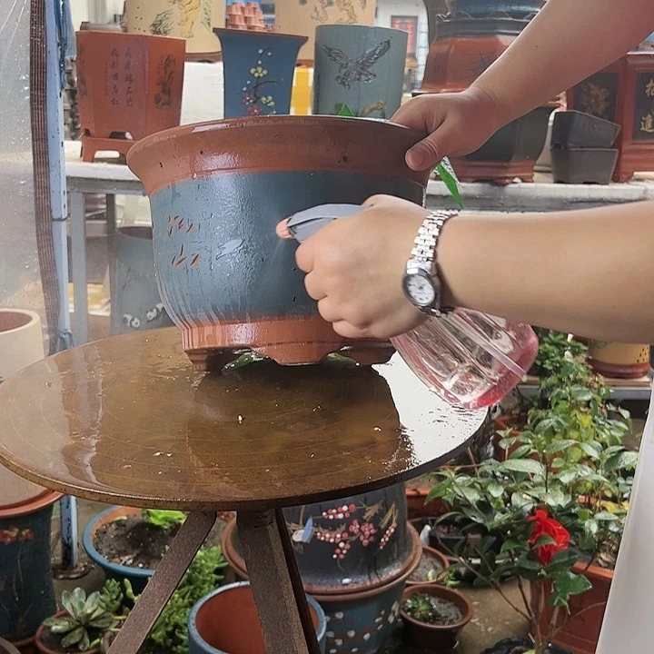 花盆花盆花盆花盆a11