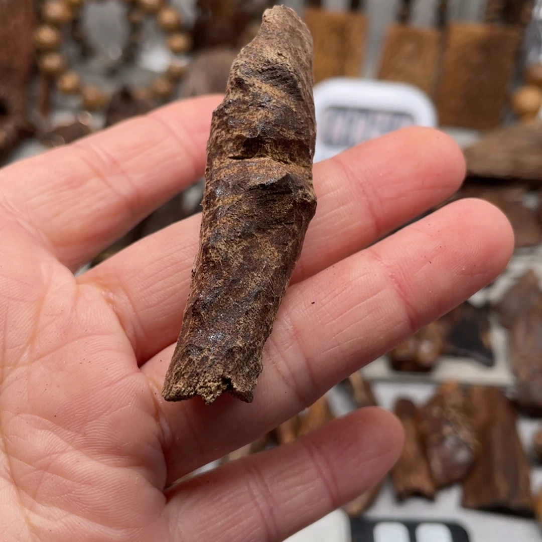 沉香碎屑沉香海南鸡母虫料