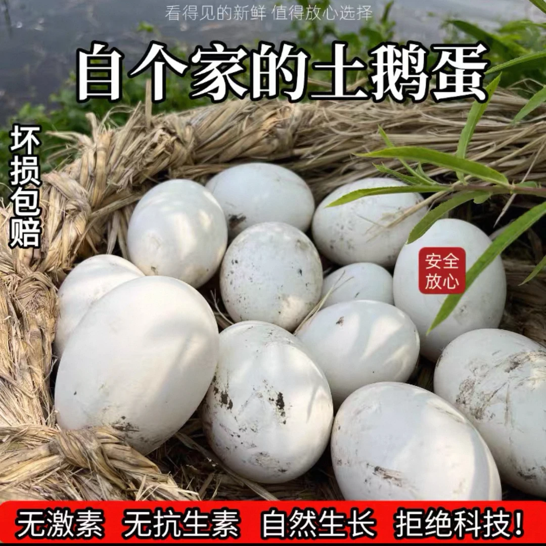 正宗农家散养新鲜土鹅蛋整箱发货