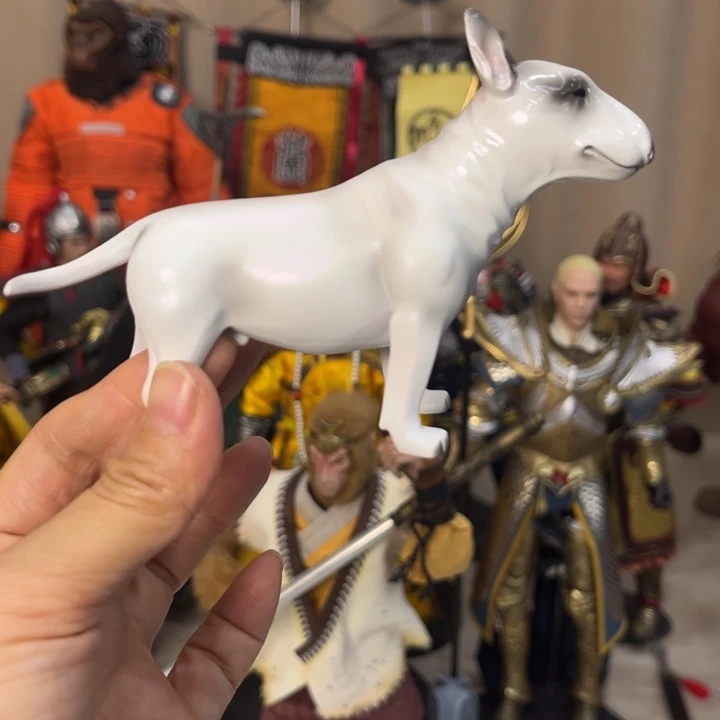 003-不退不换无售后