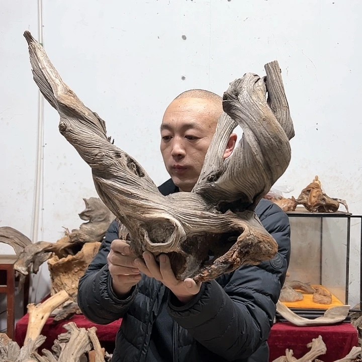 柏木寒****道我们的生活也是如此