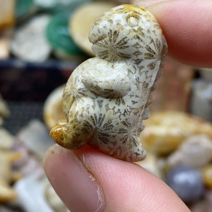 硅化珊瑚（珊瑚玉）未镶嵌颈饰