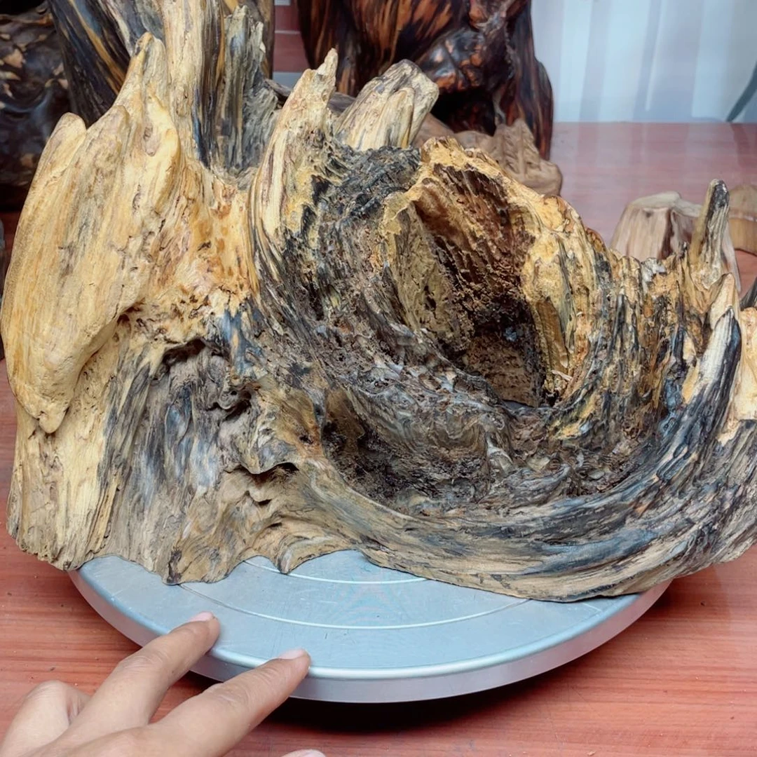 用***2你目的名优木兰狠厉我乐了