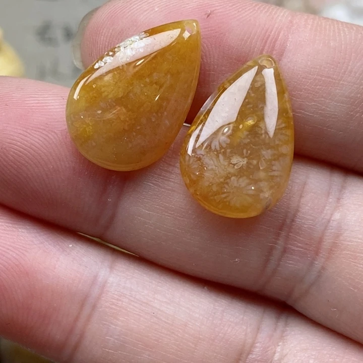 颈饰未镶嵌硅化珊瑚（珊瑚玉）