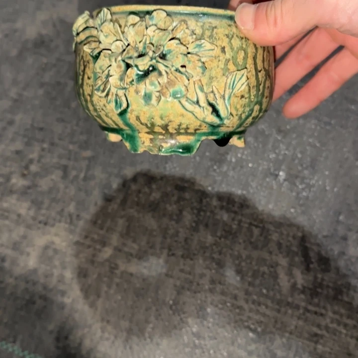 红陶年底最后一波玩的开心