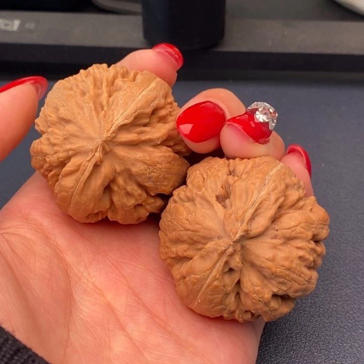 田***儿霸王龙全品无刀休